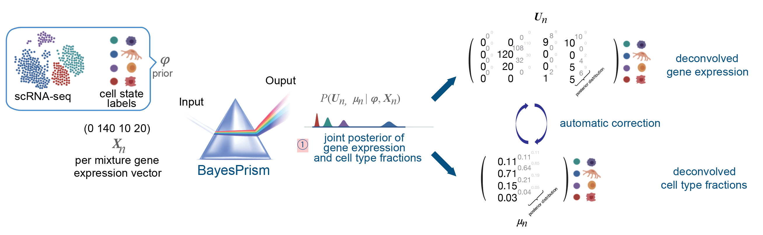 BayesPrism algorithm: scRNA-seq + bulk RNA-seq → joint posterior → deconvolved cell-type fractions and gene expression