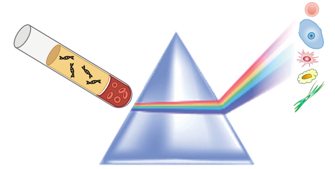 cfRNA prism cartoon: blood RNA → cell type origin